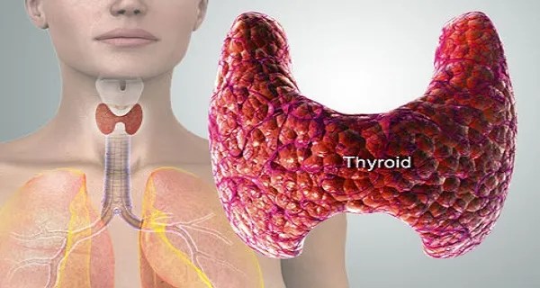 gjendra-tiroide-dergon-tri-shenja-per-ndihme