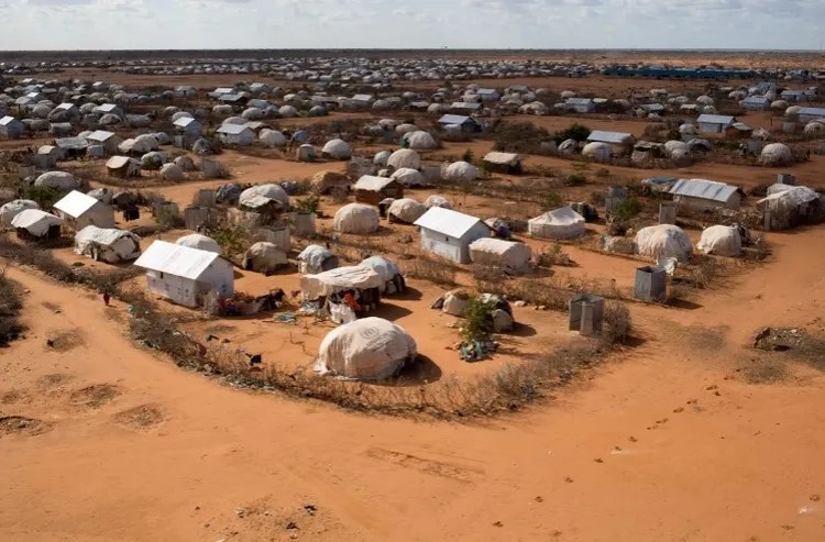 kthimi-i-refugjateve-per-rindertimin-e-somalise