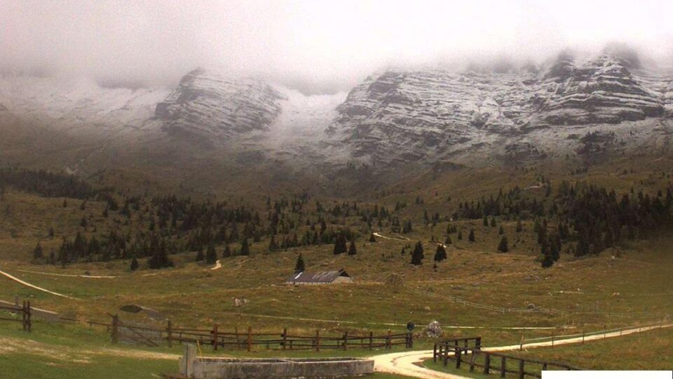 bie-bore-ne-slloveni