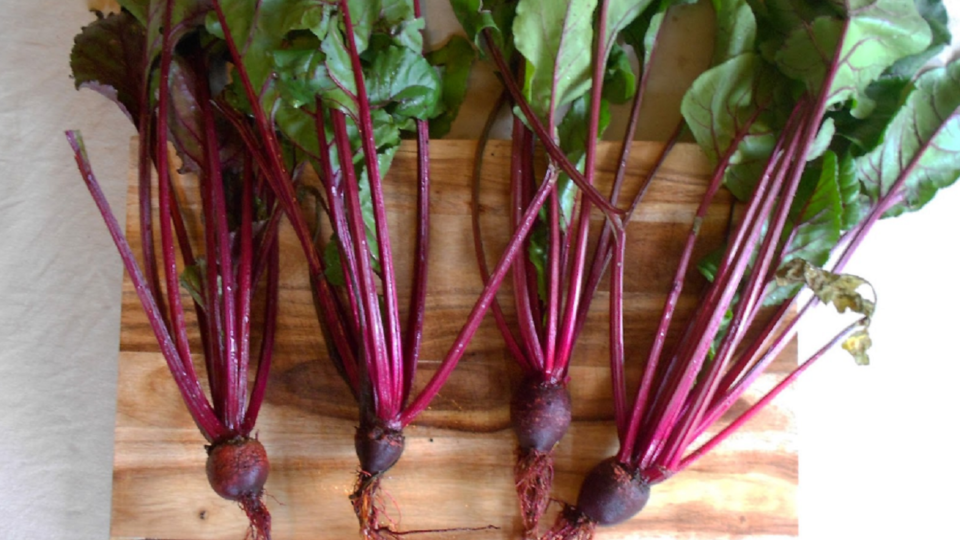 mos-gaboni-me-t’i-hidhni/-perfitimet-shendetesore-nga-konsumimi-i-gjetheve-te-panxharit