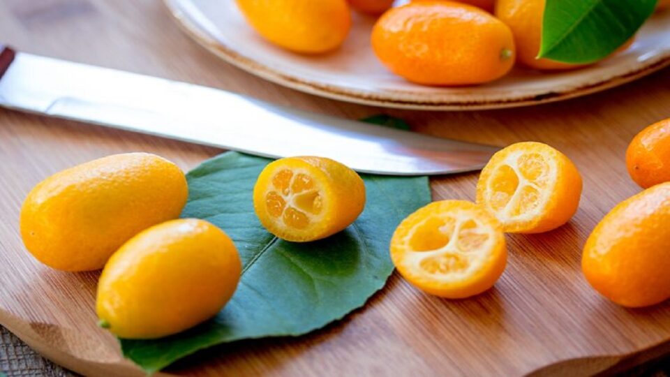 mandarinat-kumkat,-frutat-e-arta-per-diabetiket