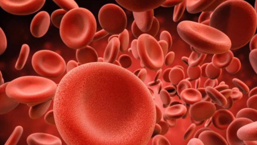 ja-si-te-pastroni-gjakun-nga-yndyra