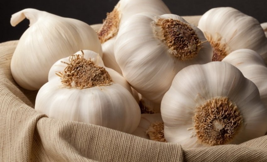 hudhra,-4-arsye-per-ta-pasur-gjithmone-ne-diete