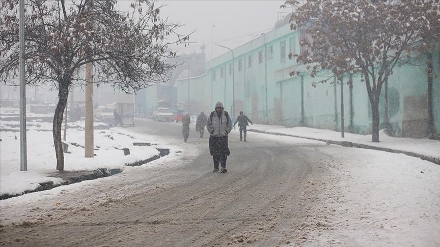 afganistan,-rritet-ne-176-numri-i-personave-qe-humben-jeten-nga-i-ftohti