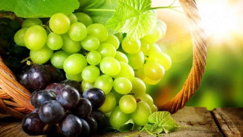 rrushi-zvogelon-nivelin-e-sheqerit-ne-gjak-dhe-mbron-nga-diabeti