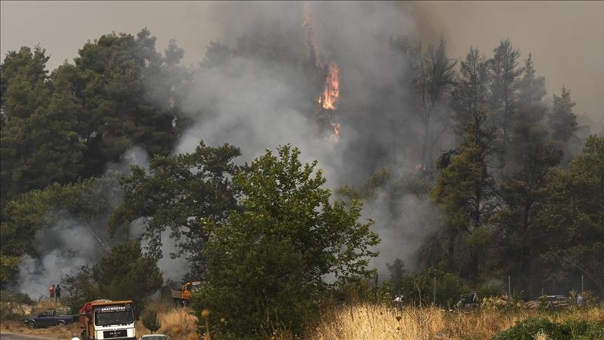 greqi,-gati-3-milione-hektare-te-djegura-nga-zjarret-ne-20-vitet-e-fundit