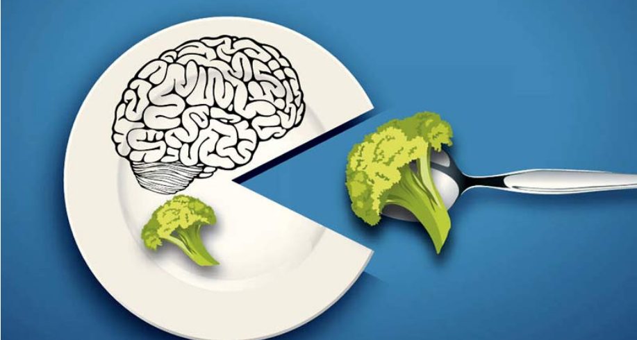 ushqimet-ideale-per-trurin,-konsumimi-i-tyre-rrit-perqendrimin-dhe-kujtesen