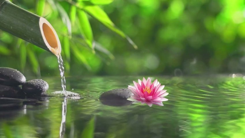 cfare-eshte-tingulli-i-gjelber-dhe-si-ndihmon-ne-uljen-e-stresit-ne-pak-minuta?