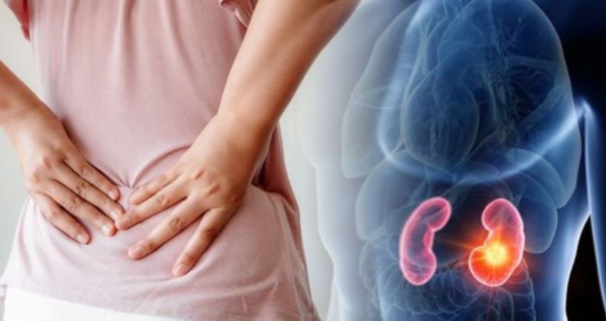 pese-ushqime-qe-jane-shume-te-demshme-per-veshkat