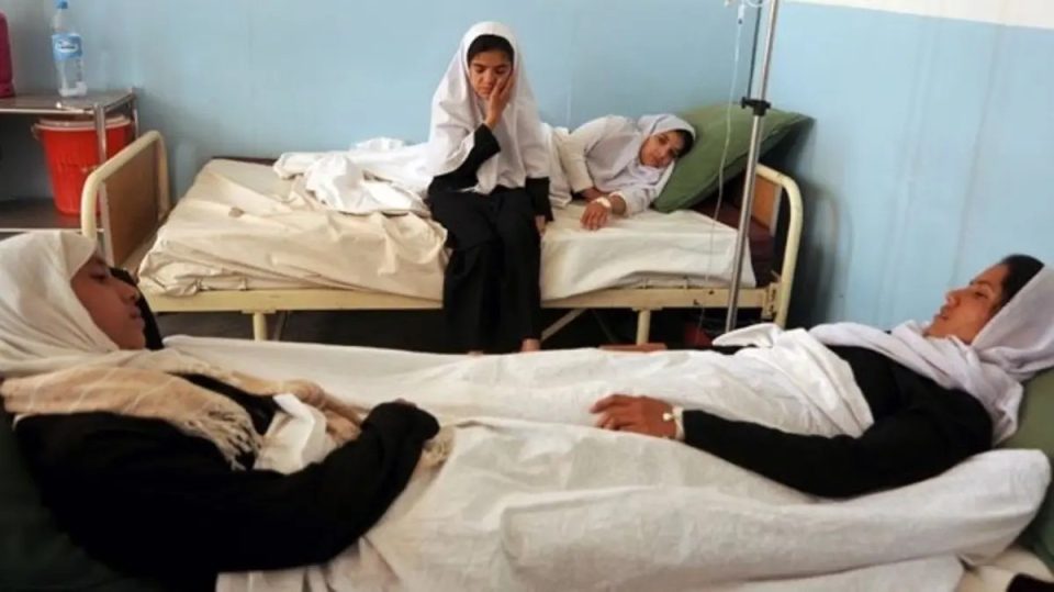 afganistan-–-gati-100-studente-te-helmuar-ne-veri-te-vendit