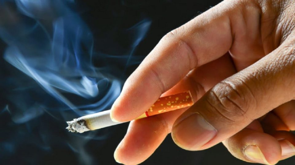 reduktimi-i-tymit-nga-duhani/-arabia-saudite-i-jep-drite-jeshile-alternativave-pa-tym,-pritet-te-kurseje-mbi-6-miliarde-dollare-deri-ne-vitin-2032