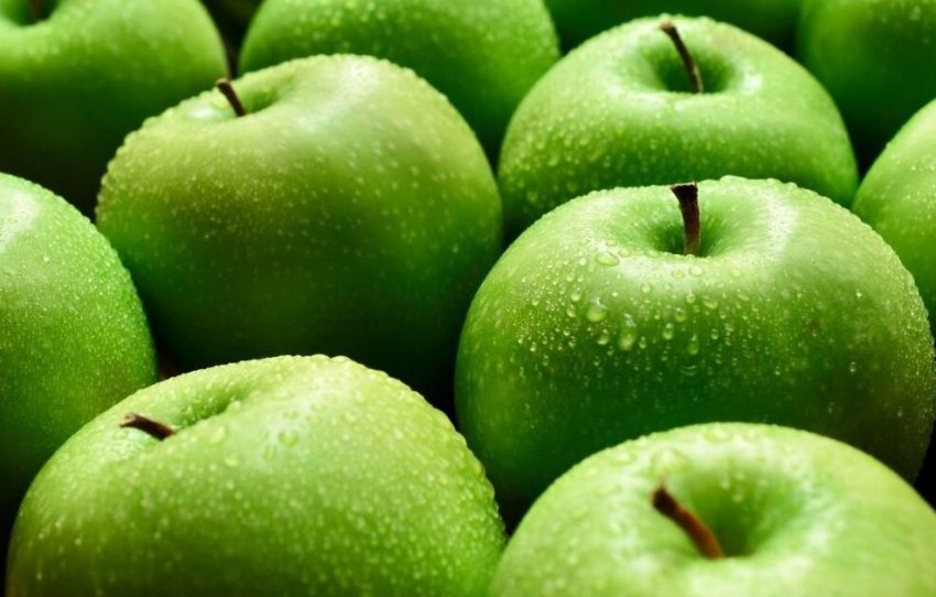 mollet-e-gjelbra-dhe-pse-duhen-patjeter-per-organizmin