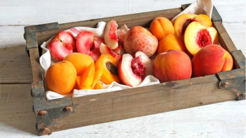 frutat-me-berthame,-te-cmuarat-e-veres