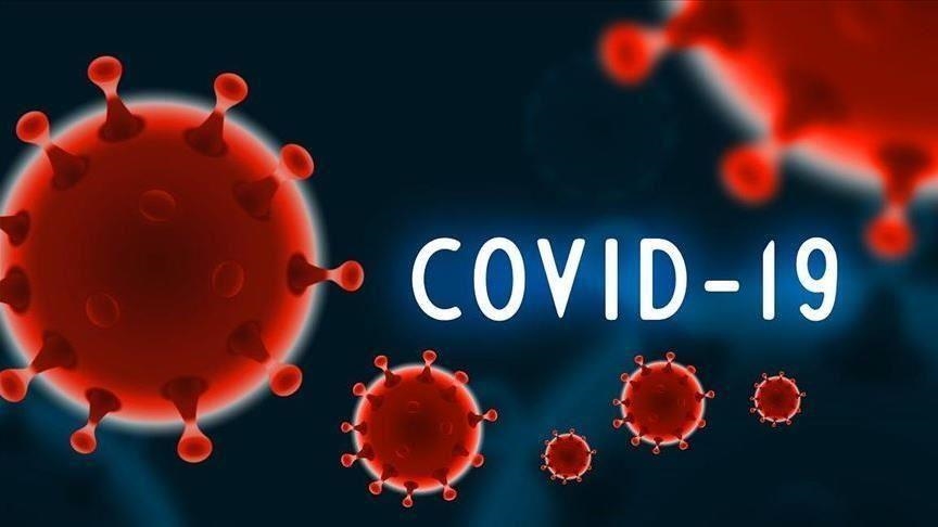 finlanda-nuk-do-ta-klasifikoje-covid-19-si-“semundje-te-rrezikshme-infektive”
