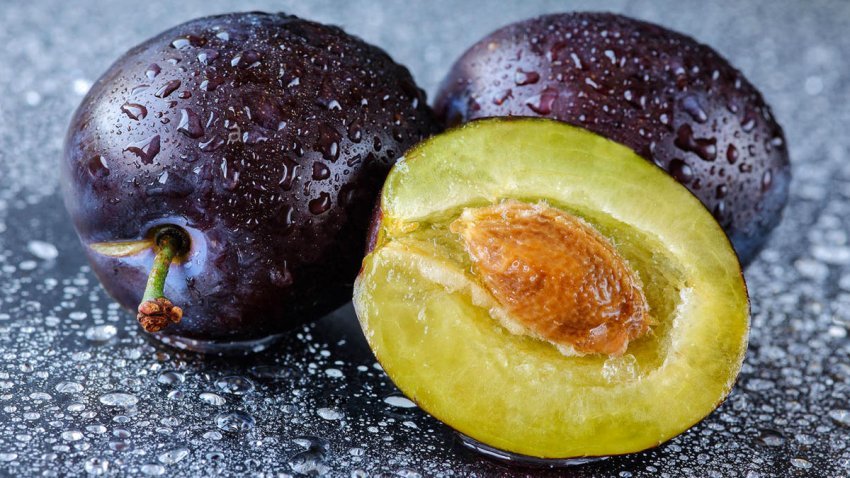 kumbullat-e-stines-–-vlerat-qe-perfitoni-ne-organizem