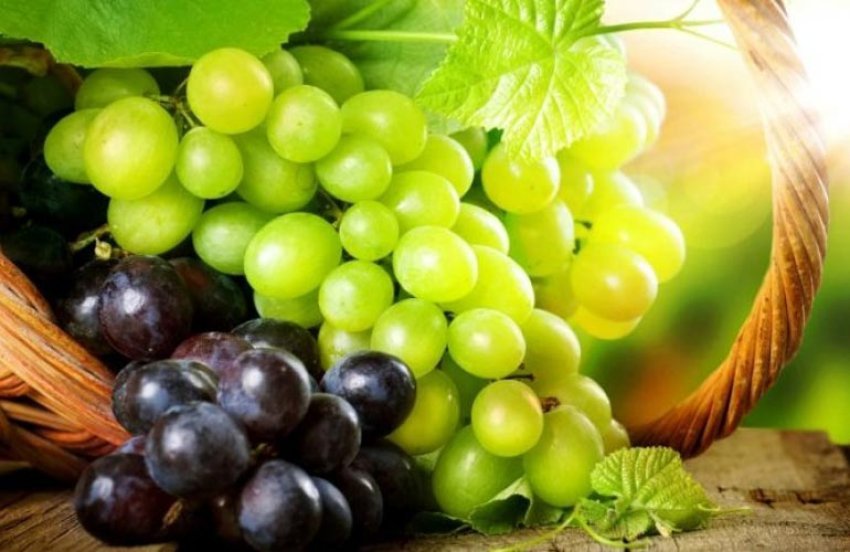 ushqyes-i-mire-i-lekures,-zemres-dhe-eneve-te-gjakut,-zbuloni-vetite-e-rrushit