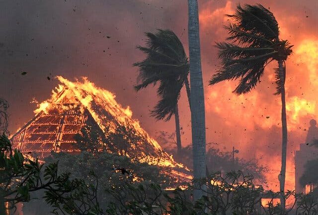shba,-36-persona-humben-jeten-nga-zjarret-ne-hawaii
