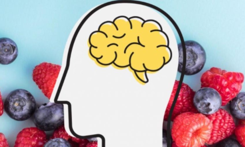 ushqimet-me-te-mira-per-trurin-qe-ju-ndihmojne-per-perqendrim
