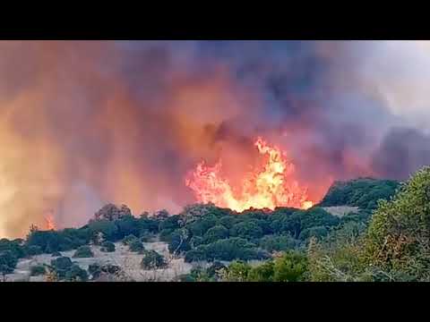 zjarri-ne-evros-jashte-kontrollit,-autoritetet-thirrje-banoreve:-qendroni-gati