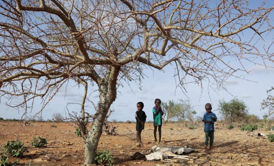 afrike:-mbi-110-milione-njerez-te-prekur-nga-kriza-klimatike-ne-nje-vit