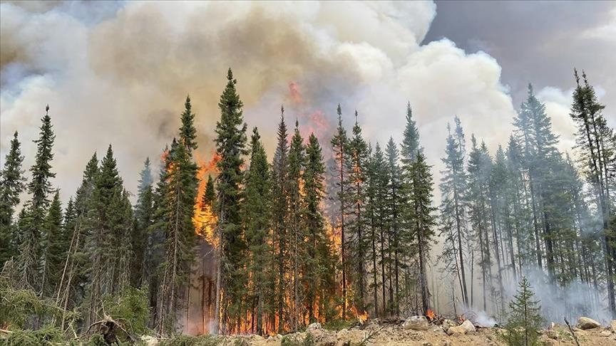 kanada,-rreth-800-zjarre-pyjore-nuk-jane-arritur-te-vendosen-nen-kontroll