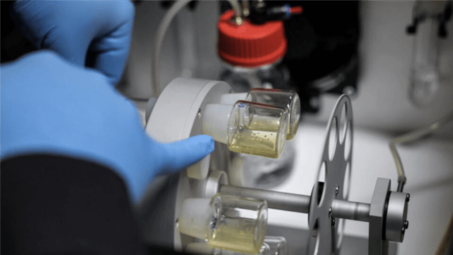 shkencetaret-krijojne-ne-laborator-modele-embrionesh-njerezore
