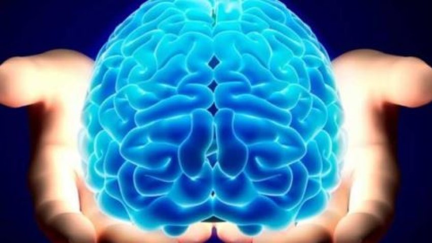 gjashte-shenja-paralajmeruese-te-tumorit-te-trurit
