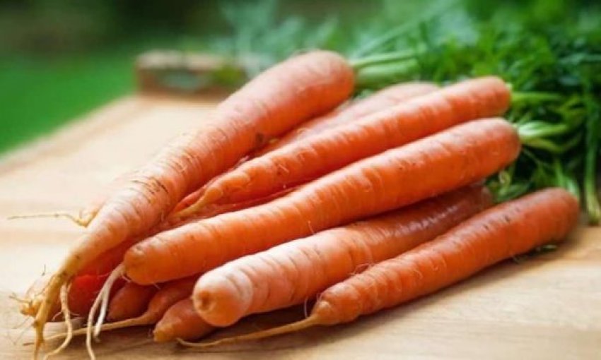 karota-dhe-vetite-kuruese-te-saj