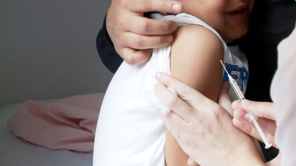 fruthi-po-perhapet-nga-mosvaksinimi/-eshte-shkelur-ligji-me-pranimin-ne-shkolla-pa-certifikate-vaksinimi