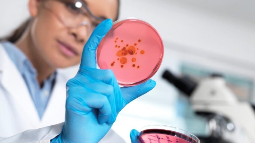 shkencetaret-kane-zbuluar-nje-antibiotik-te-ri-i-cili-synon-te-vrase-superbakterin-vdekjeprures