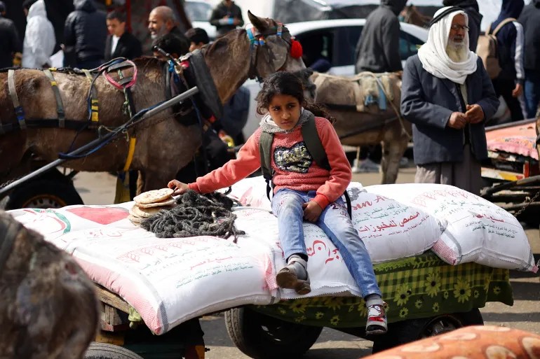 palestine:-ketu-eshte-nje-permbledhje-e-zhvillimeve-kryesore