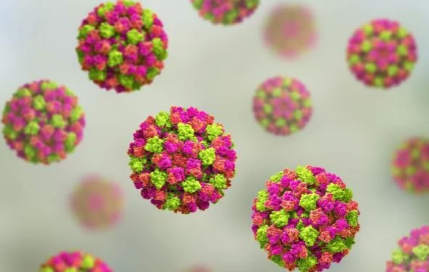 cfare-eshte-norovirusi-dhe-sa-zgjat?