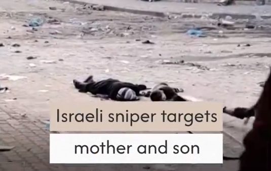 nje-snajper-izraelit-qellon-nje-grua-palestineze-dhe-djalin-e-saj-ne-mes-te-rruges-ne-gaza