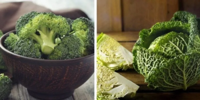 brokoli-dhe-lakra-jeshile-ndikojne-ne-gjendren-tiroide