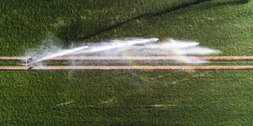 pesticidet-dhe-herbicidet-ndikojne-ne-semundjen-e-parkinsonit