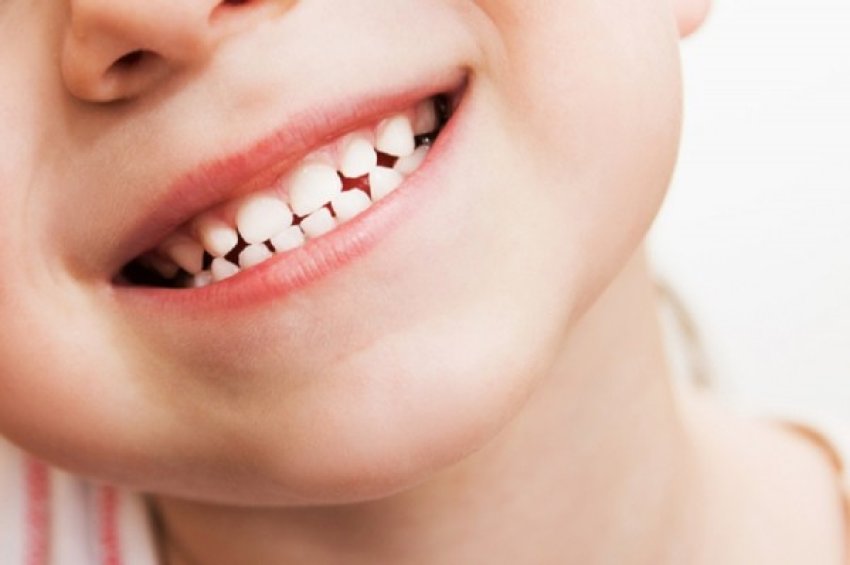 ​“vizitat-e-femijeve-para-moshes-3-vjecare-te-dentisti-te-behen-te-detyrueshme”