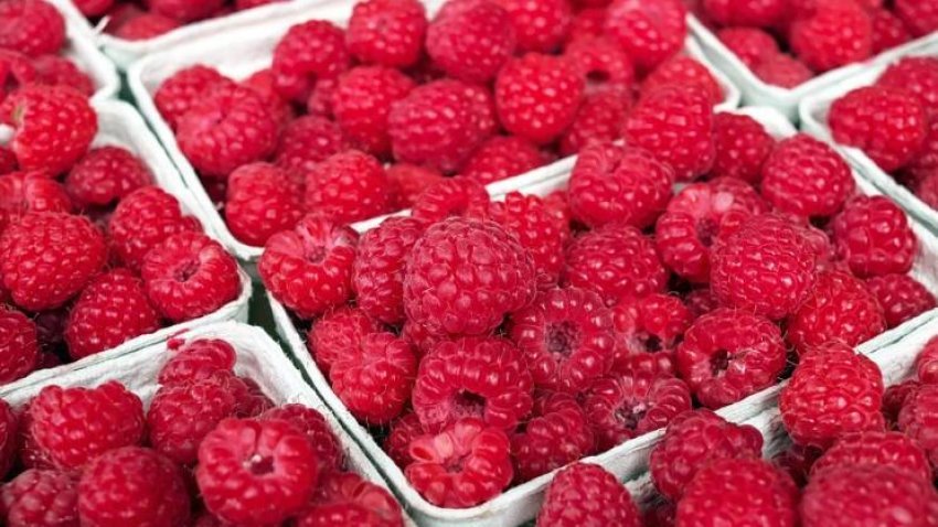 tre-lloje-frutash-qe-duhen-ngrene-cdo-dite,-sipas-nje-dietologu