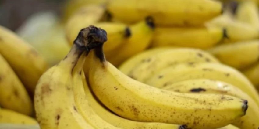 ushqimet-qe-permbajne-me-shume-kalium-se-bananet