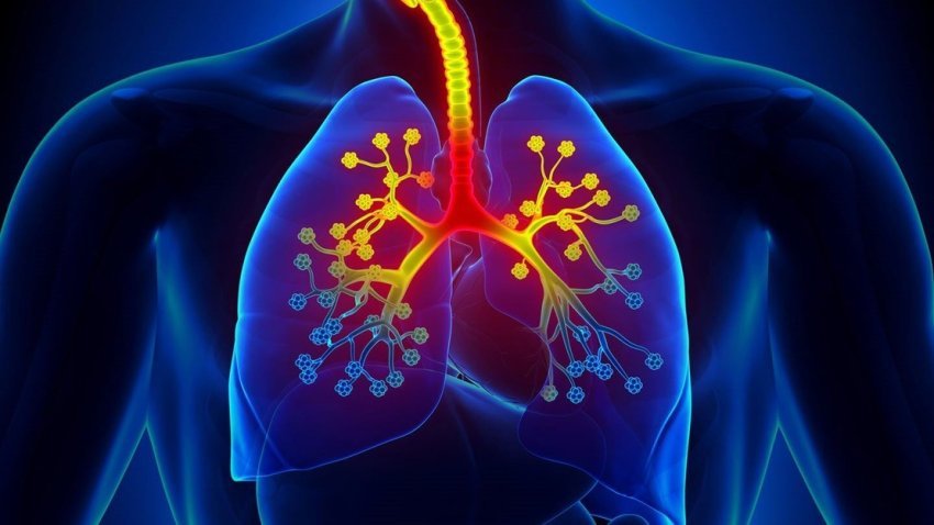 studim:-astma,-copd-shpesh-nuk-diagnostikohet