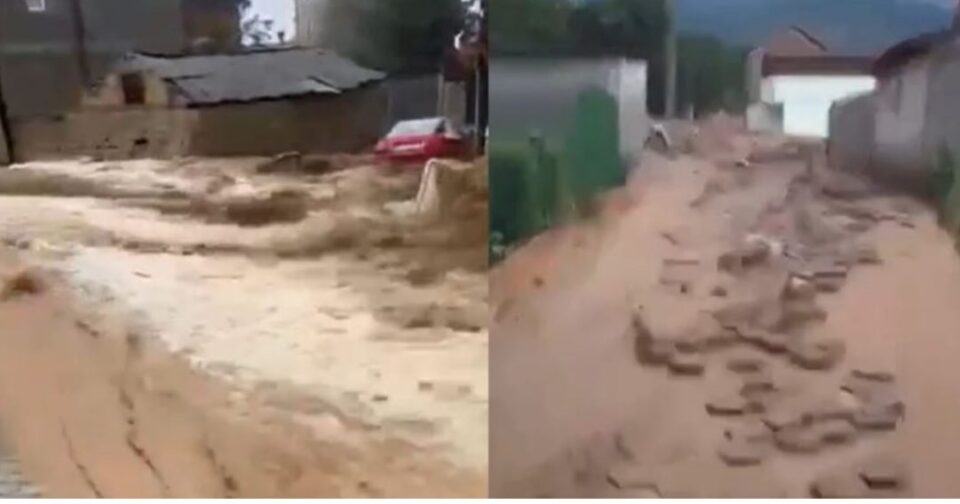 video/-reshjet-e-dendura-te-shiut,-gjendje-alarmante-ne-disa-fshatra-te-kosoves
