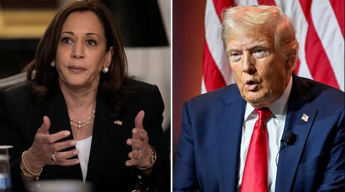 “mendoja-se-kamala-harris-ishte-indiane,-pastaj-doli-grua-me-ngjyre”-shtepia-e-bardhe-pas-komenteve-te-trump:-jane-fyese