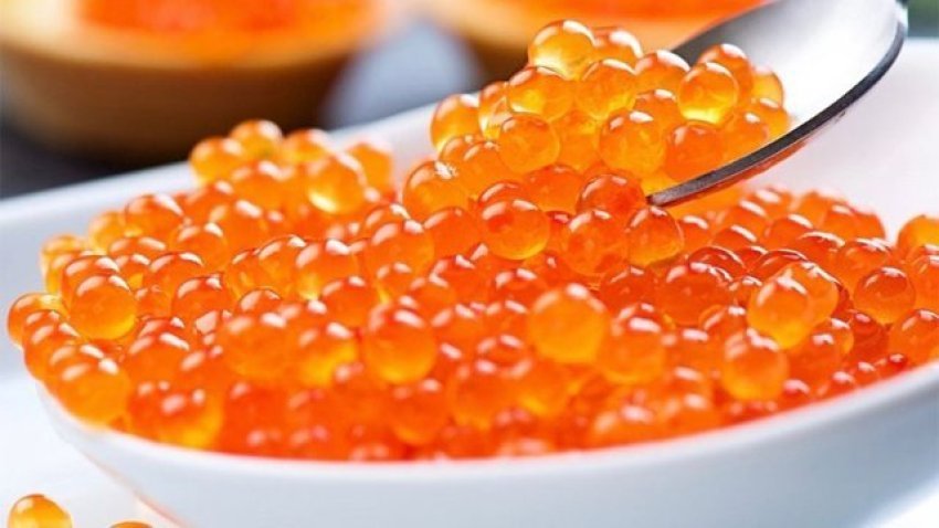 vezet-e-peshkut,-burimi-natyral-i-shendetit-te-mire