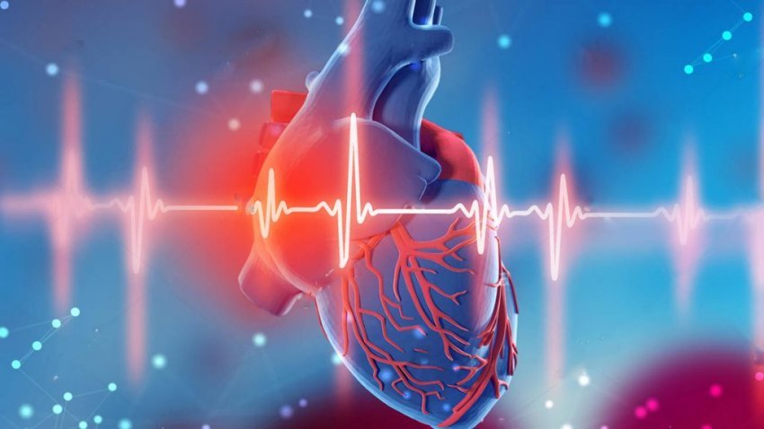 suplementet-e-kalciumit,-rreziku-serioz-per-shendetin-e-zemres