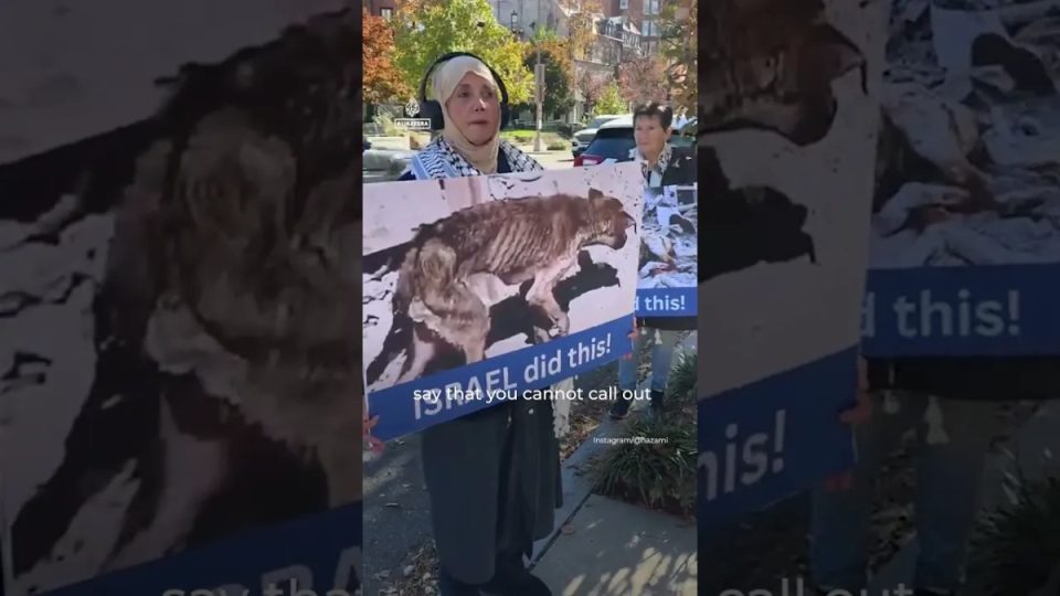 aktivistet-protestojne-ndaj-“heshtjes”-se-peta-s-per-vrasjen-e-kafsheve-nga-izraeli