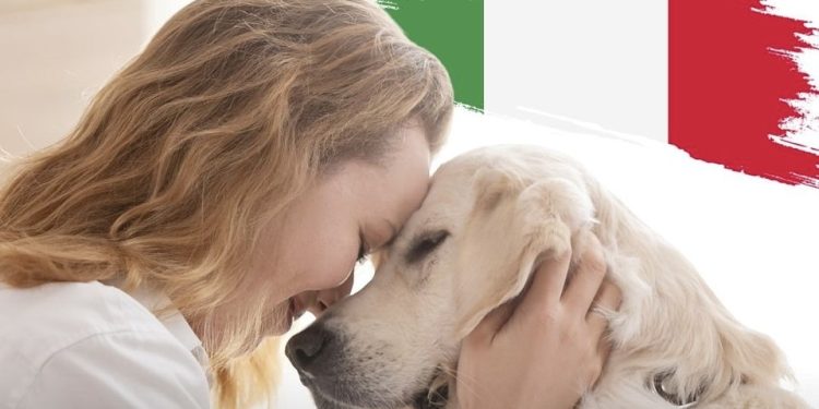 qen-ne-vend-te-femijeve:-treguesit-e-frikshem-ne-vendin-fqinj