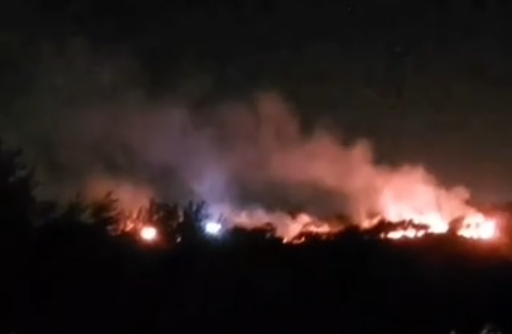 kolonet-izraelite-djegin-peme-ulliri-ne-jug-te-nablusit