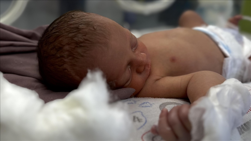 shkalla-e-lindjeve-ne-zvicer-arrin-nivelin-me-te-ulet-me-1,29-femije-per-grua