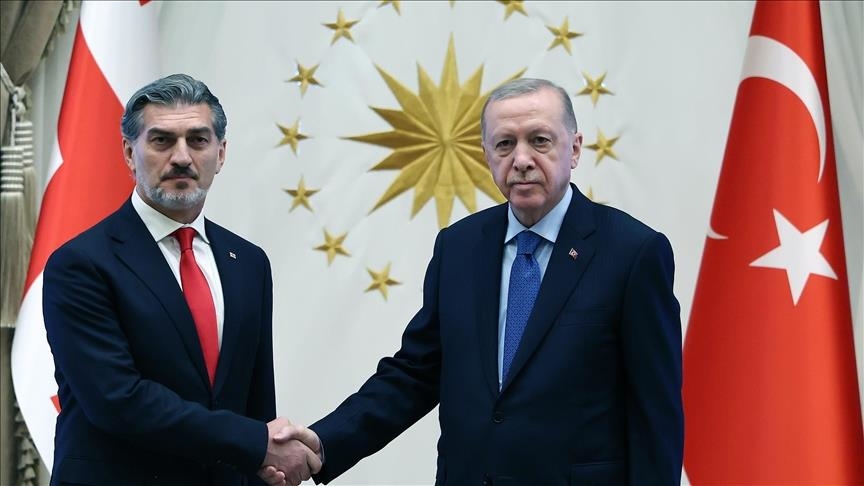 presidenti-turk-dhe-ai-gjeorgjian-diskutojne-hetimin-per-rrezimin-e-avionit-ushtarak-turk