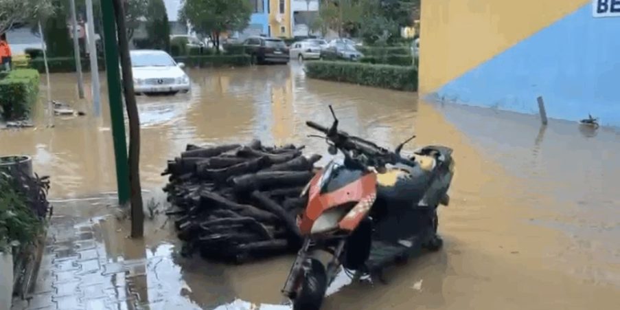 reshjet-e-shiut-vershojne-disa-lagje-ne-lezhe