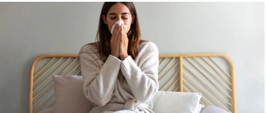 zakoni-i-vetem-qe-duhet-ta-thyeni-menjehere,-nese-nuk-doni-te-semureni-kete-vjeshte